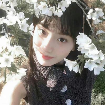 愿望树粤语